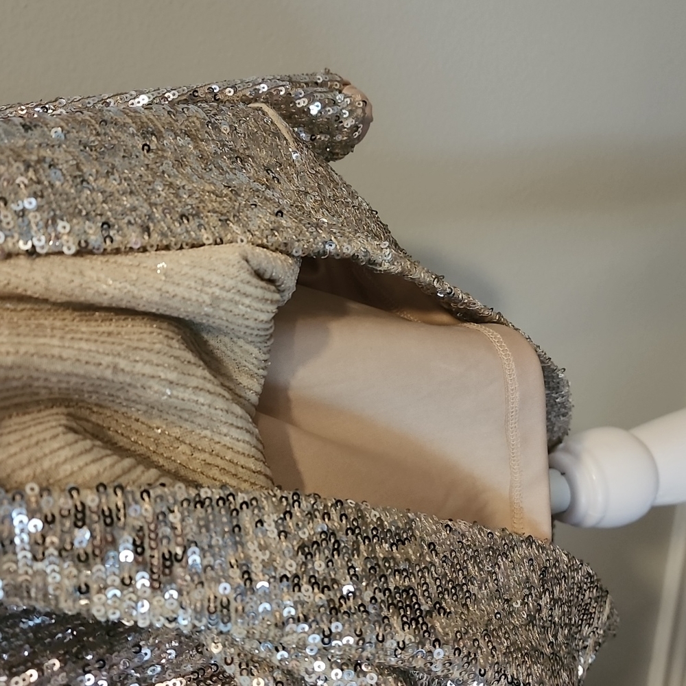 Express Silver and Nude Sequin Dress NWT - Picture 4 of 6